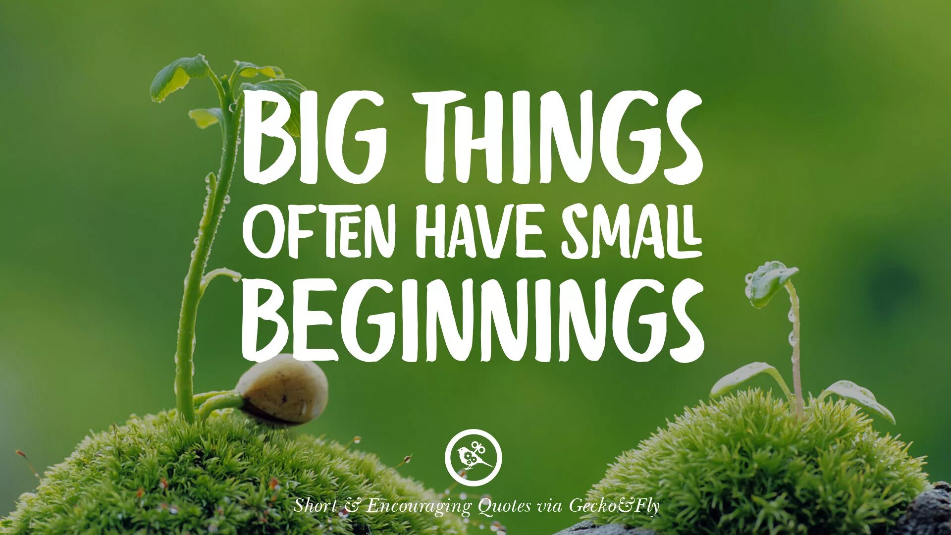 Big things have small beginnings. Short quotes. Short Life quotes. Encouraging quotes. Have a thing going with