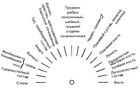 Маятник скажи