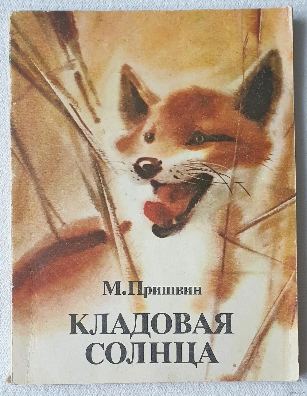 Пришвин м.м. "кладовая солнца". «Кладовая солнца» м. м. Пришвина (1945).. Книги кладовая солнца Михаила Пришвина. Рассказ михаила пришвина кладовая солнца