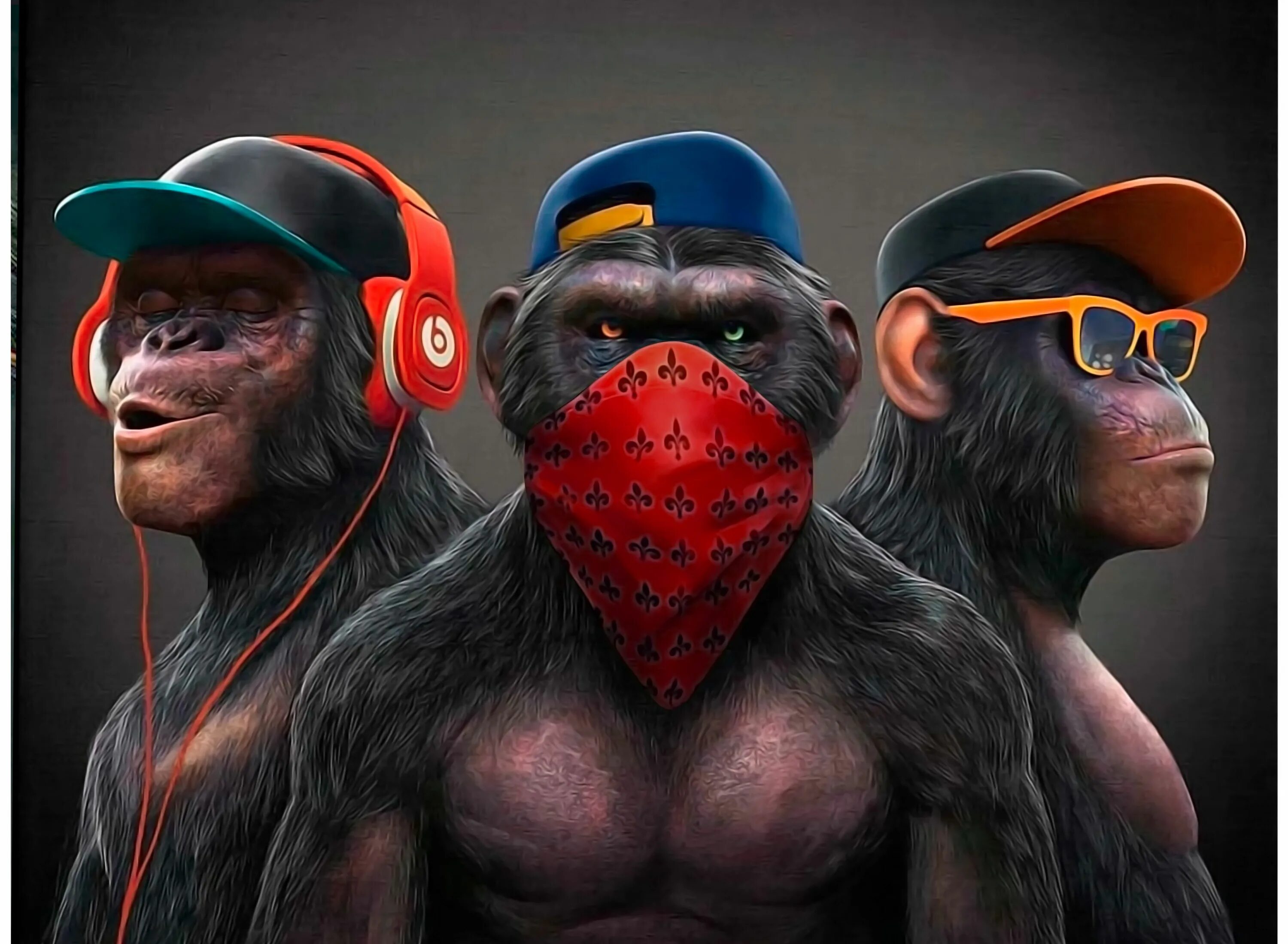 Monkey iphone remix. Три обезьяны. Обезьяна в очках. Крутая обезьяна. Обезьяна арт.