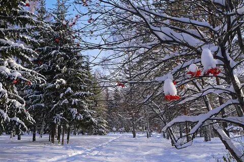 Февральские окна на кубани