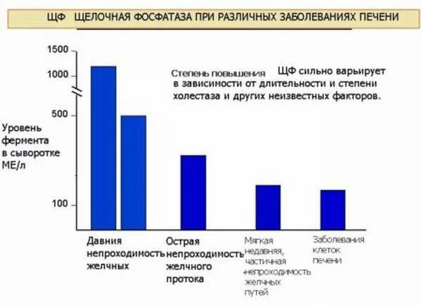 Щелочная фосфатаза субъединицы. Причины повышения щелочной фосфатазы. Щелочная фосфатаза Хеликс. Щелочная фосфатаза строение. Фосфатаза печени