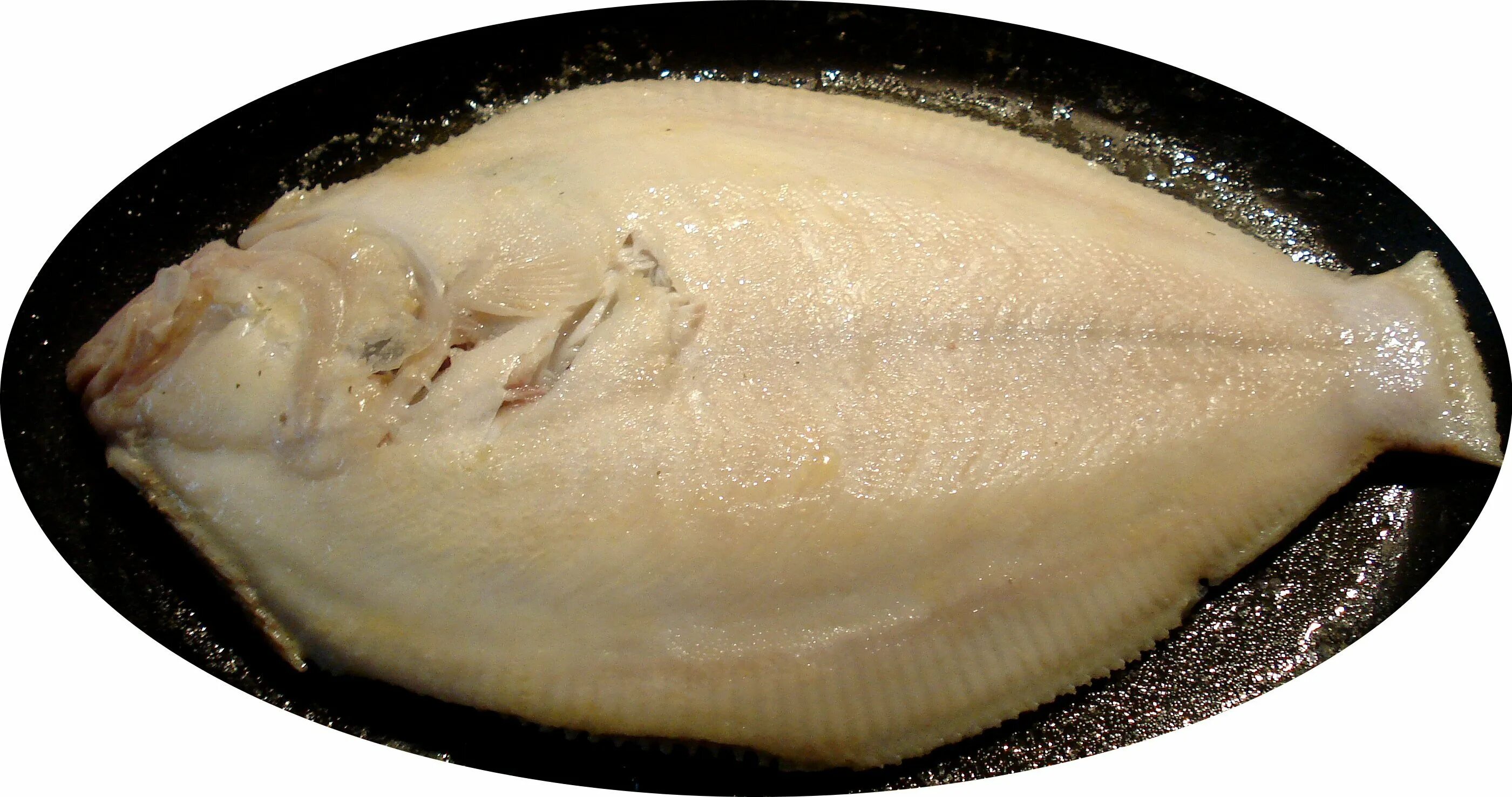 Треска камбала. Белая рыба камбала. Рыба с белым мясом. Морская рыба с белым мясом. Камбала вкус