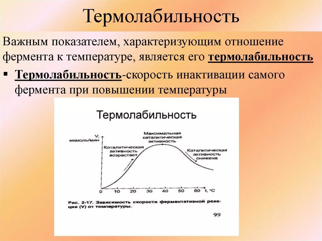 Термостабильность ферментов. Термолабильность ферментов биохимия. Термолабильные и термостабильные ферменты примеры. Термалабилтность фермента. Термолабильность феимента.