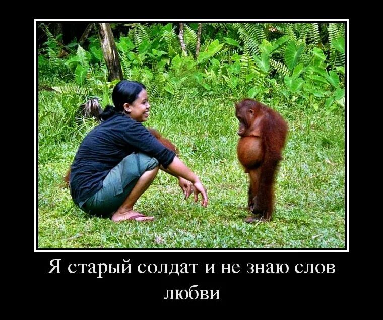 Я старый и не знаю слов любви