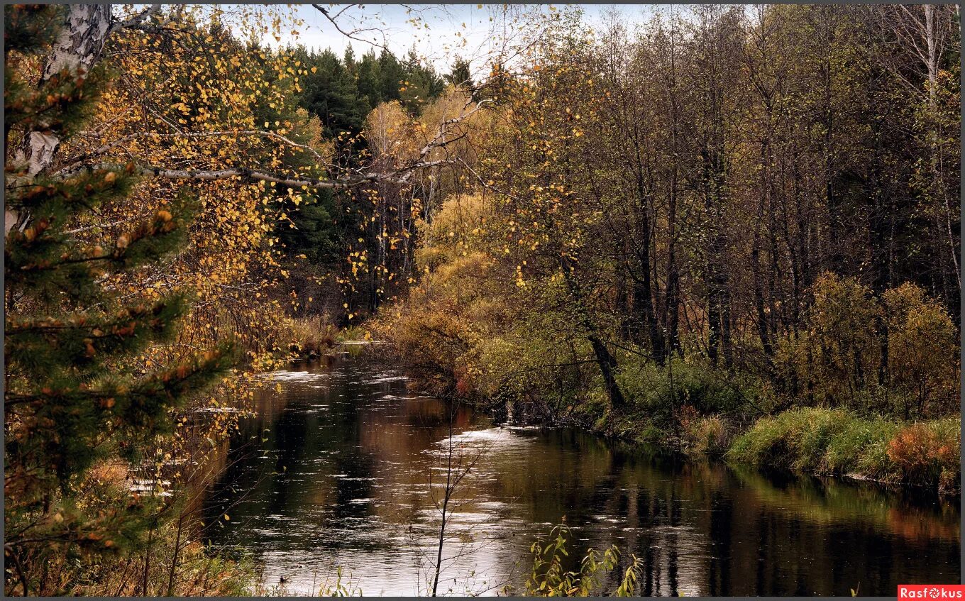 Река Теча Челябинск. Теча река Катайск. Челябинские фотолюбители. Река Теча фото.