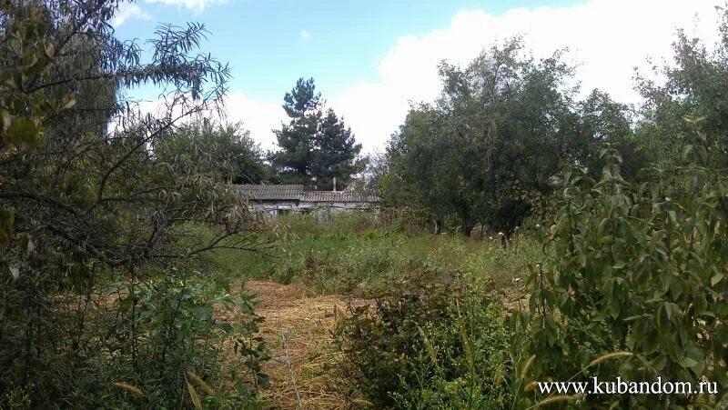 станица калужская краснодарский край достопримечательности. станица калужская краснодарский край администрация. краснодарский край северский район станица калужская база отдыха. станица калужская краснодар. станица калужская краснодар.