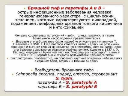 Брюшной тиф тест по инфекции