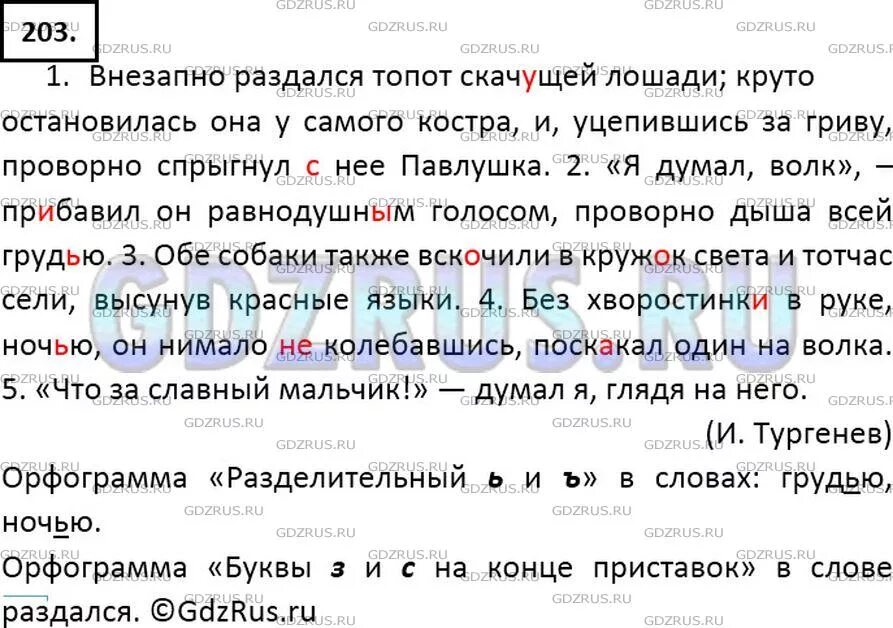 Русский язык седьмой класс первая часть ладыженская. Русский язык 7 класс ладыженская упр 203. Русский язык 7 класс упр 203. Русский язык 7 класс ладыженская номер.