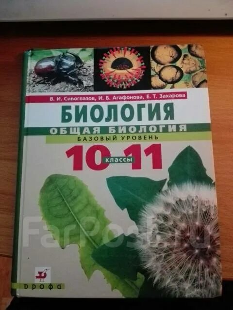 Биология 11 класс учебник сивоглазов агафонова. Биология. 11 Класс. Учебник.. Биология 11 класс Агафонова Сивоглазов. Учебник по биологии 11 класс. Биология 11 класс учебник Сивоглазов.