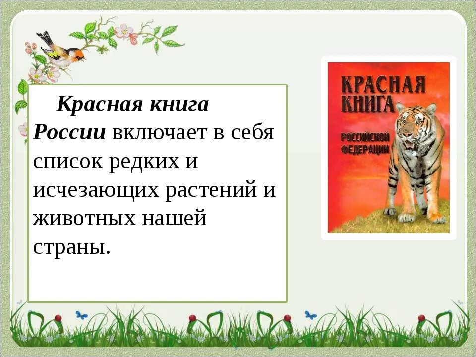 Проект 4 класс красная книга нашего края. Красная книга России. Животные. Красная книга нашего края. Красная книга список. Красная книга России животных список.