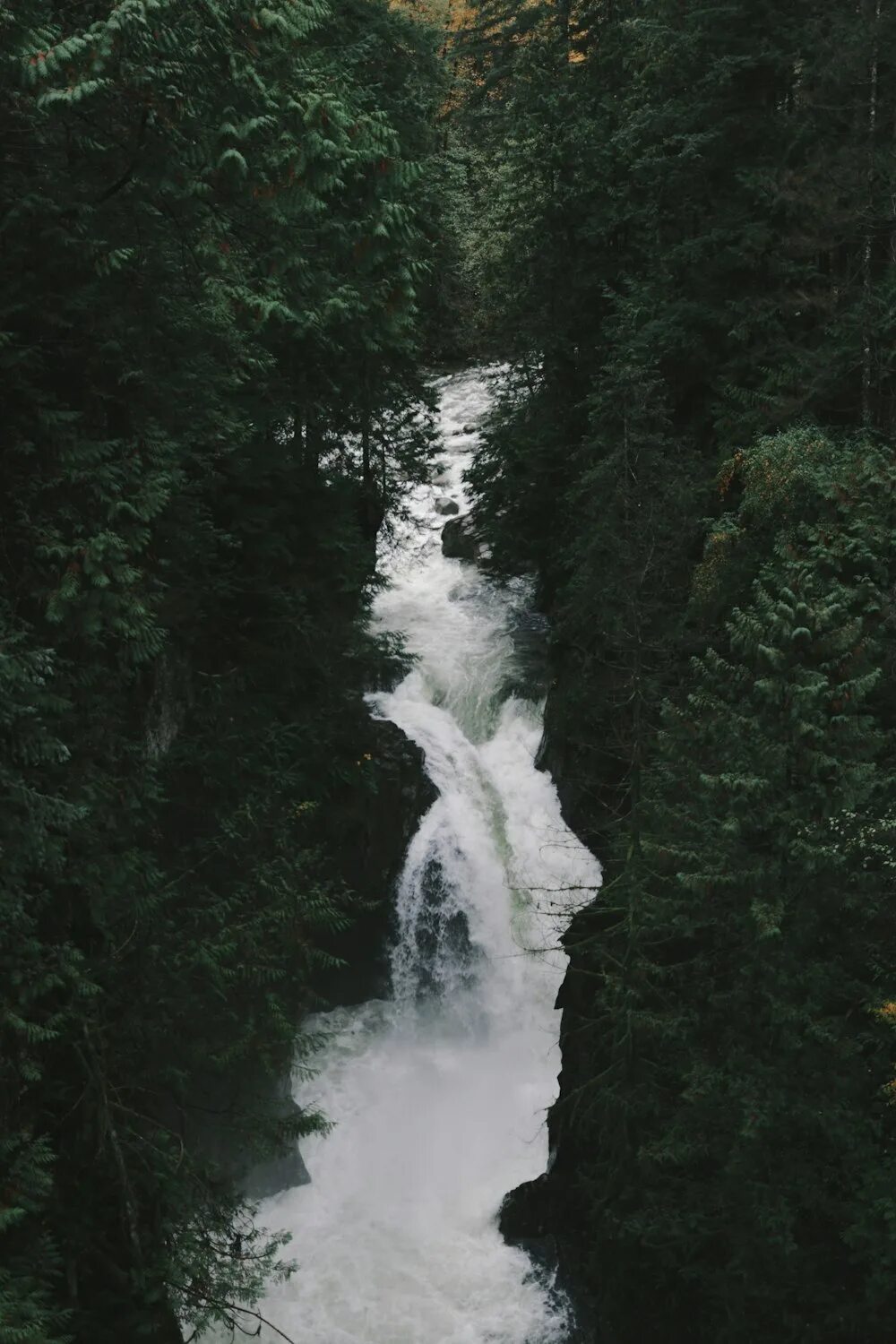 Englishman River Falls Provincial Park Ванкувер. Lynne Valley. Lynn Valley picture. Lynn Valley North Vancouver..