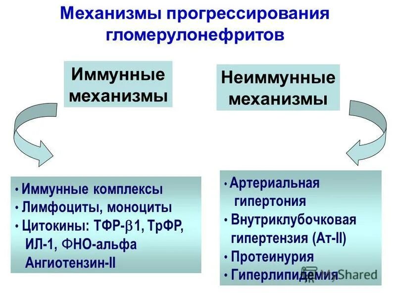 Неиммунный гломерулонефрит патогенез. Диффузный мембранозный гломерулонефрит. Повышении проницаемости почечной мембраны. Фиксированные иммунные комплексы. Иммунный комплекс при гломерулонефрите.