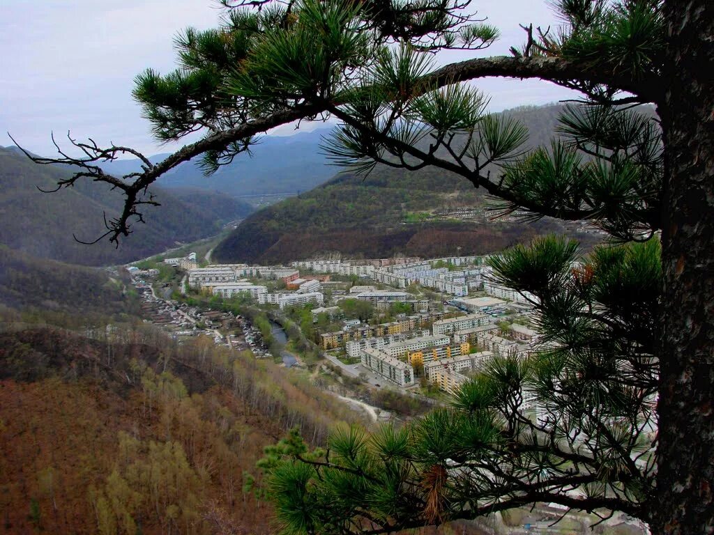 Краснореченск дальнегорск. Седая (гора, приморский край). Дальнегорск поселок тайга. Дальнегорск приморский край. Деревня синанча приморский край.