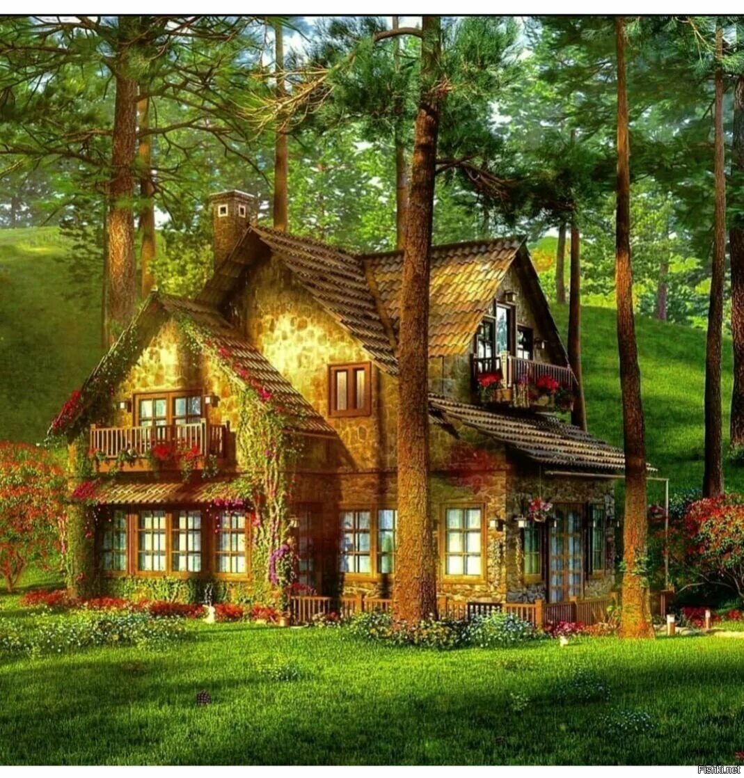 Домик в лесу летом. Домик в лесу. Дом в лесу. Сказочный домик. Уютный домик в лесу.