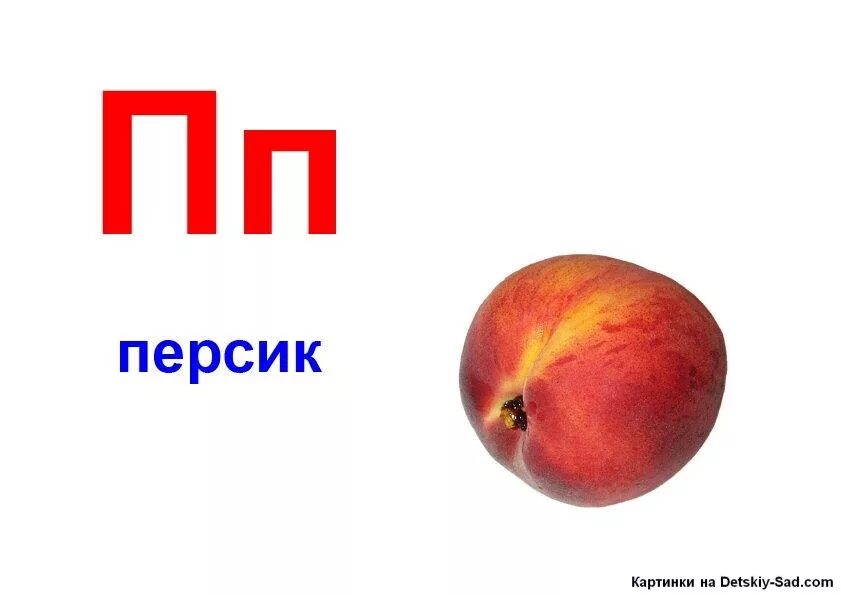 Слова на букву п. Слова на букву п картинки. Предметы на букву п. Предметы на букву п для детей. Слова кончается на п