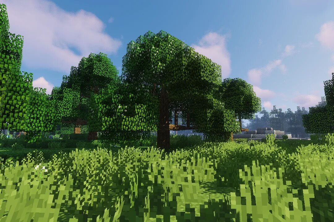 Sols rng biomes. Dynamic Trees 1.12.2. Майнкрафт лес. Дубовый лес майнкрафт. Biomes o plenty 1.12.2.