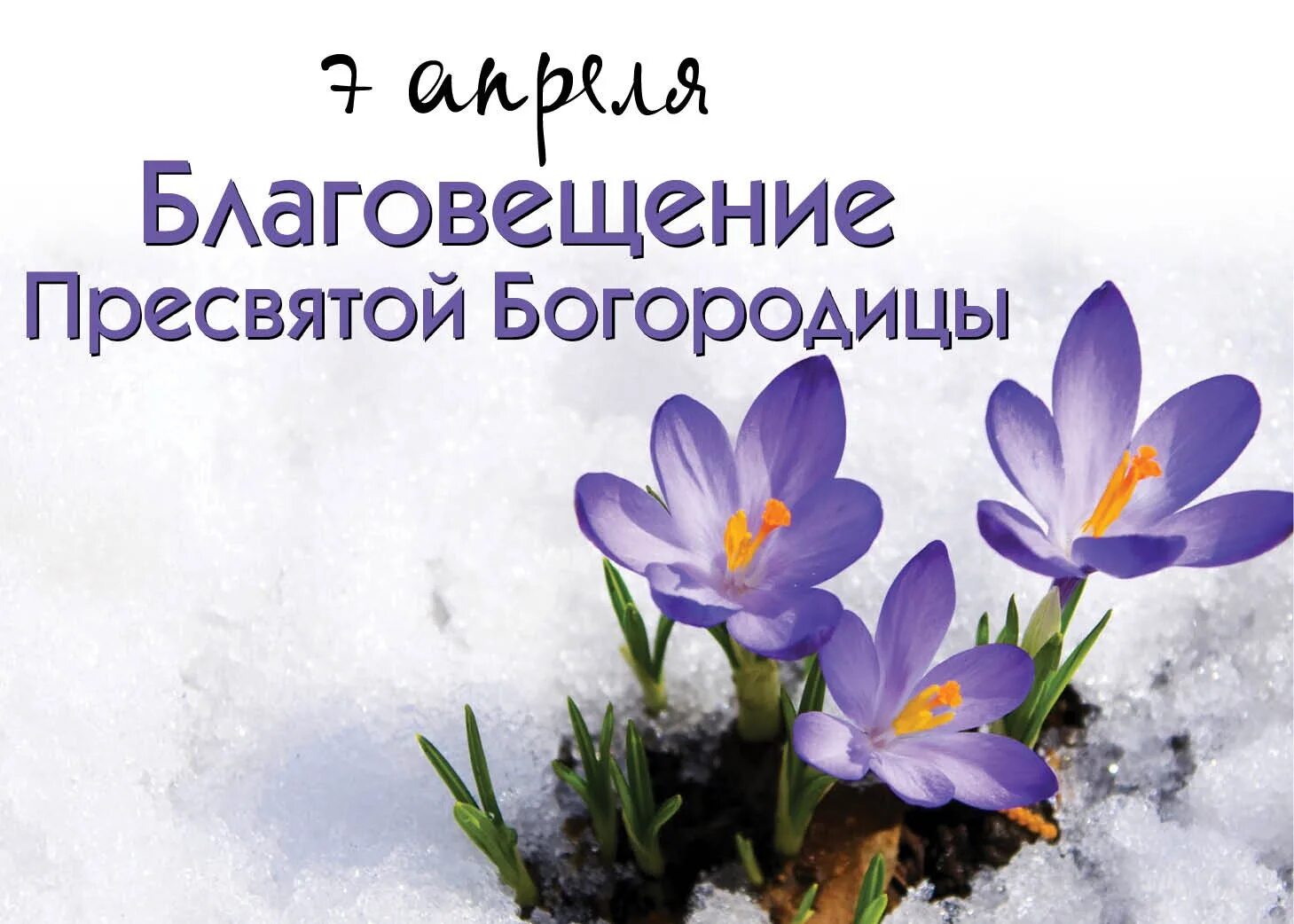 Какой праздник 7 го апреля. 7 апреля благовещение пресвятой богородицы. с благовещением. 7 апреля праздник. доброе утро с благовещением пресвятой богородицы.