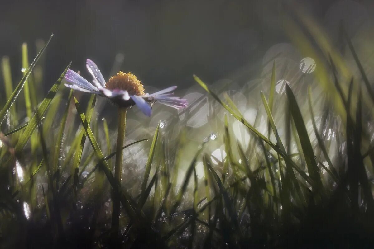 Девушка летит. Душа в полете. Женщина бабочка. Девушка солнце. Летающее крыло.