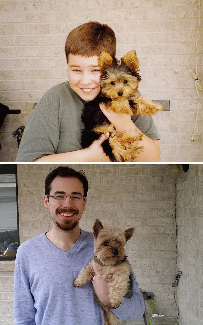 Мальчик вырос с собаками. Подросший щенок. Щенки до и после взросления. Собака спустя годы. Собака 10 лет спустя.