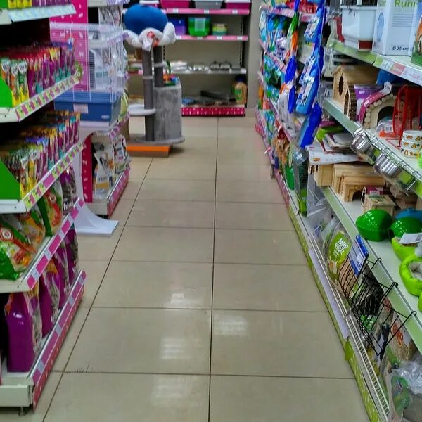 4 лапы королев. 4 лапы королев. 4 лапы королев. магазин 4 лапы королев. 1.