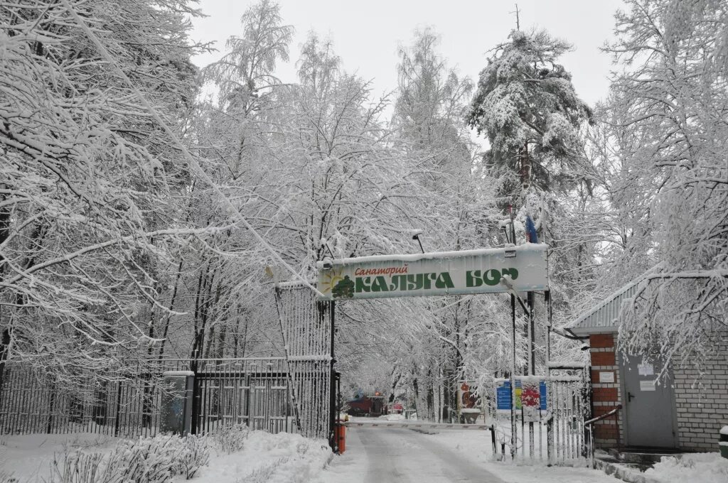 Сайт санатория калуга бор калуга. Санаторий Сосновый Бор Калуга. Санаторий Калуга Бор Калужская область. Город Калуга санаторий "Калуга -Бор". Детский неврологический санаторий Калуга Бор.