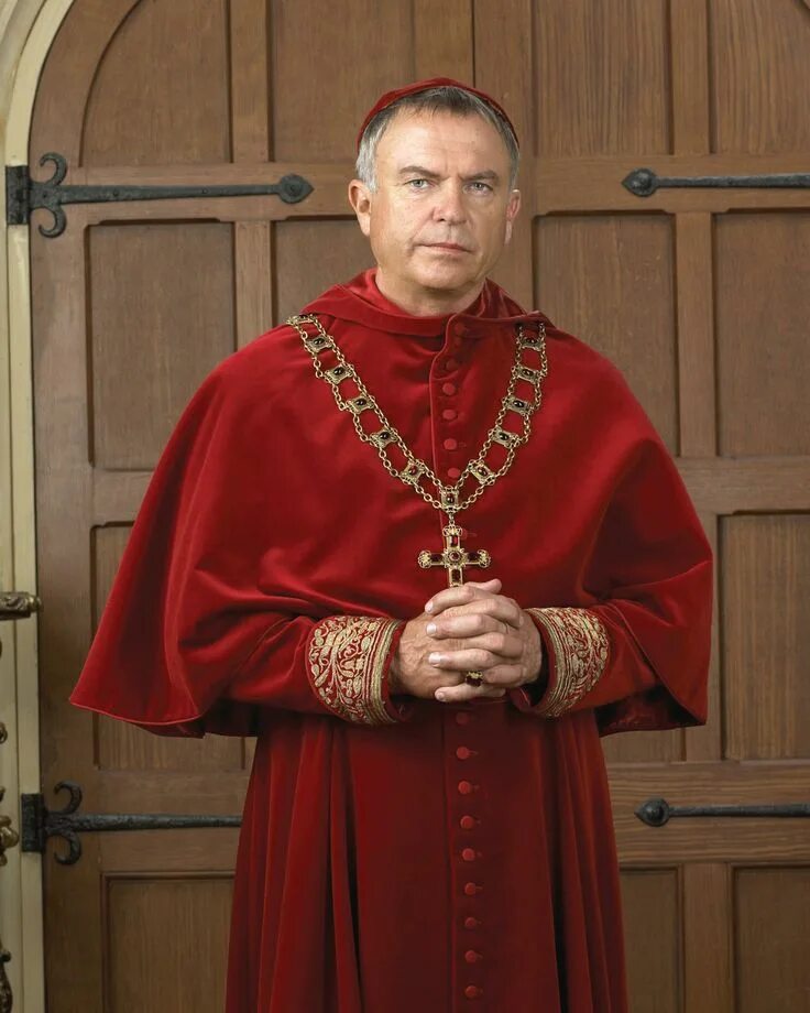 Кардинал стоит. Кардинал в полный рост. Кардиналы средние века. Raymond cardinal burke. Кардинал беччу.