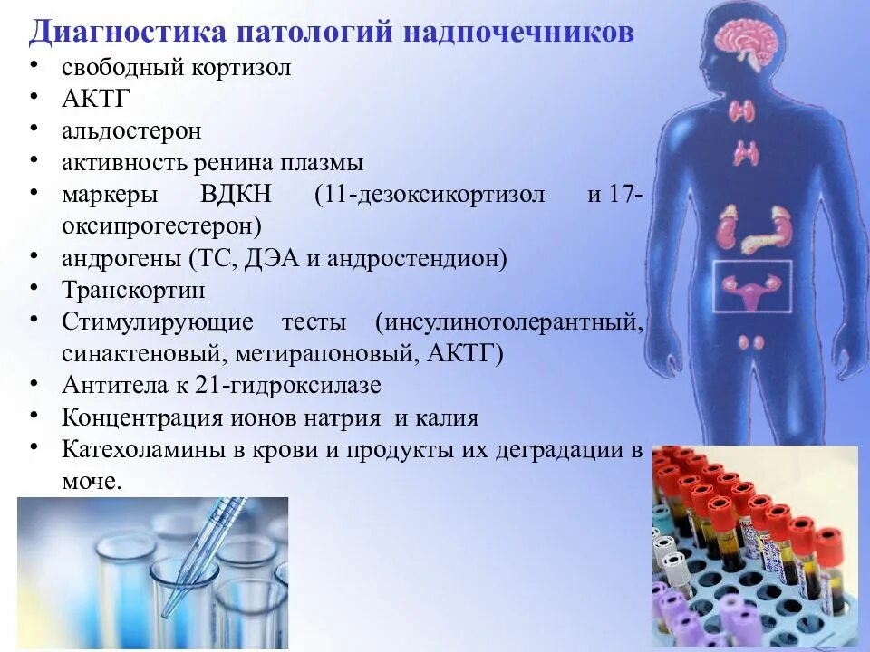 Патология надпочечников лабораторные тесты. Исследование гормонов надпочечников. Анализ работы надпочечников. Исследование кортизола в крови.