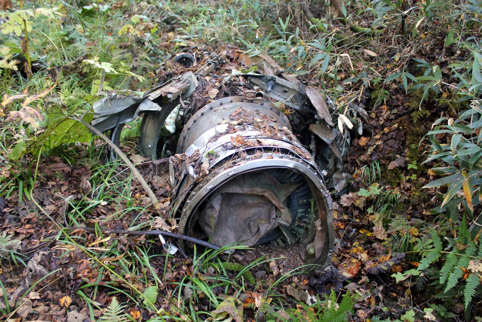 катастрофы ил 18 за всю историю. авиакатастрофа ленинград 1974. крушение ил 18 1974 под ленинградом. ил-18 тикси. катастрофа ил-18 в свердловске.