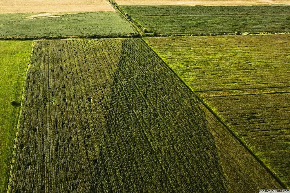 Фотографии поля со спутника. Сельскохозяйственные поля снимки со спутника. Земля - вид сверху. Поле вид сверху. Космический снимок участка земли.