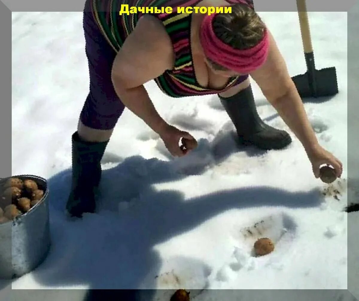 Зиму посадили