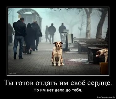 Три отдавать