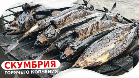 Рецепт вкусной рыбы горячего копчения