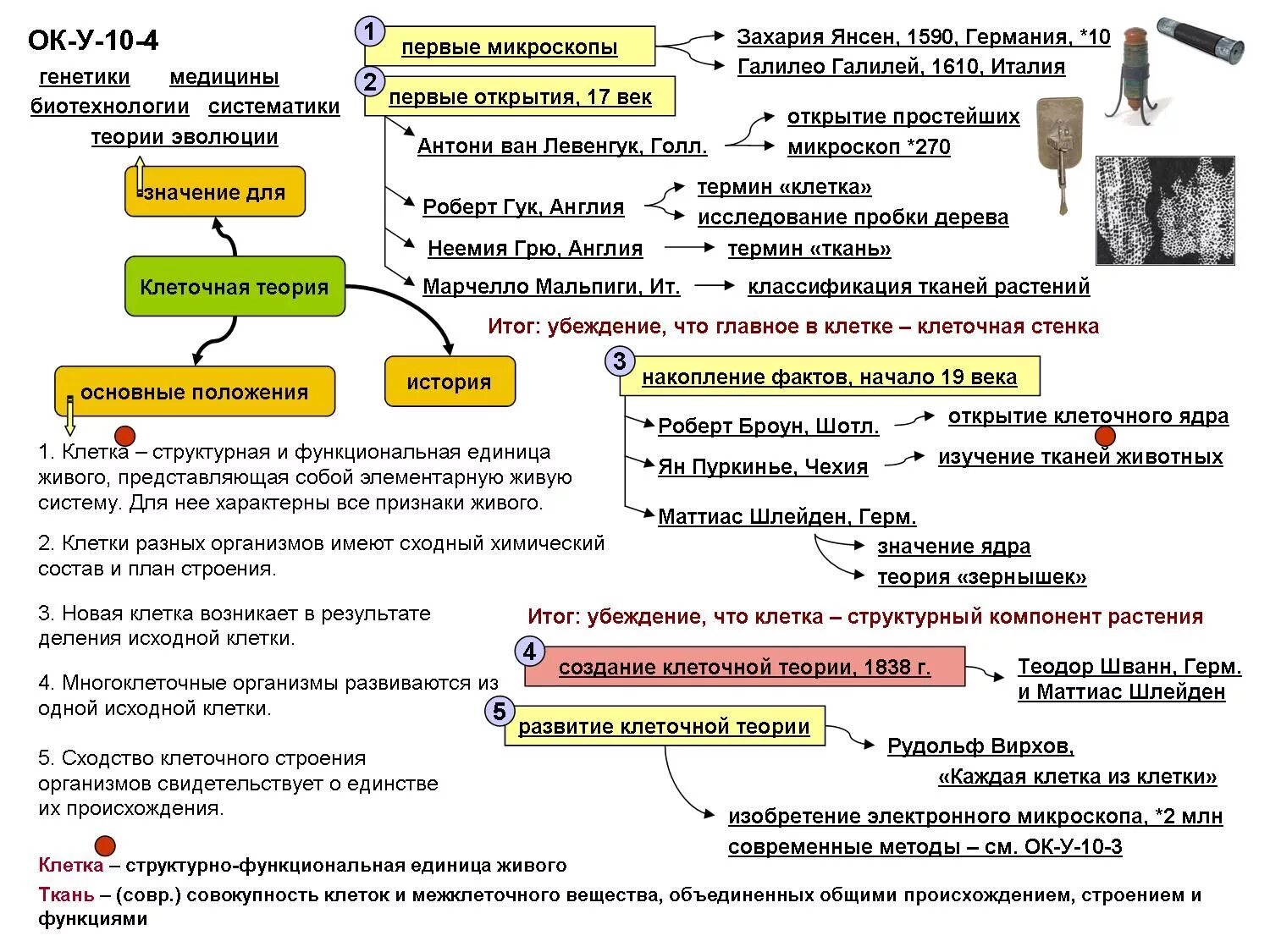 Темы по биологии 10 11. Опорный конспект клеточная теория. Опорный конспект по теме строение клетки биология 5 класс. Конспект по биологии 9 класс клеточная теория. Опорный конспект по биологии 9 класс по теме строение клетки.