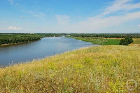 Новониколаевские болталочки волгоградской