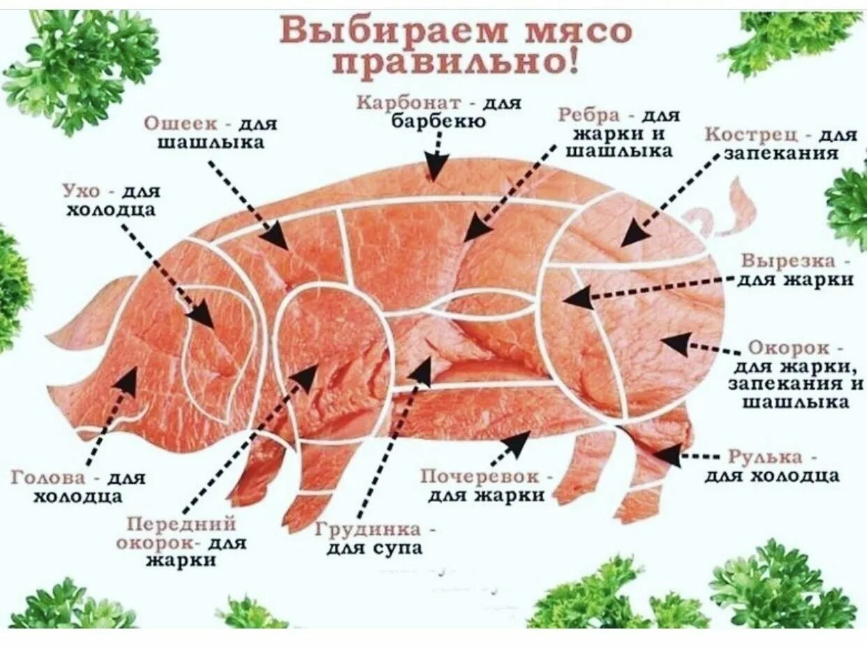 Карбонат какая часть свинины. Ошеек свиной. Мясо ошеек свиной. Части свинины для шашлыка. Части свиной туши схема.