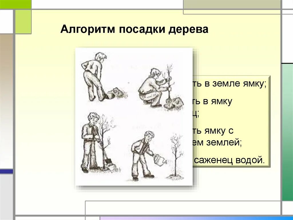 Расставьте действия в нужном порядке алгоритм. Алгоритм посадки дерева. Составить алгоритм посадки дерева. Алгоритм посадить дерево. Блок схема посадка дерева.