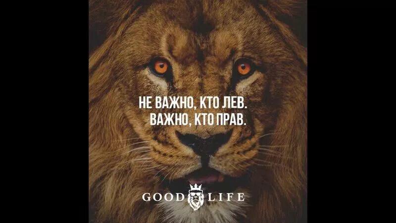 Есть кто прав лев. Не важно кто прав важно кто Лев. Не важно кто прав важно кто Лев картинка. Кто Лев тот и прав. Кто прав кто Лев.