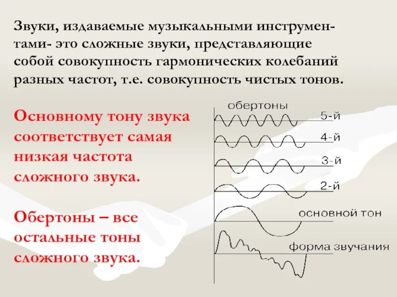 Музыкальные звуки тон. В сложном звуке основной тон. Частота звука. Основные характеристики музыкального звука. Основной тон и обертоны.