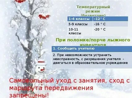 Какую температуру выдерживает хризантема на улице осенью