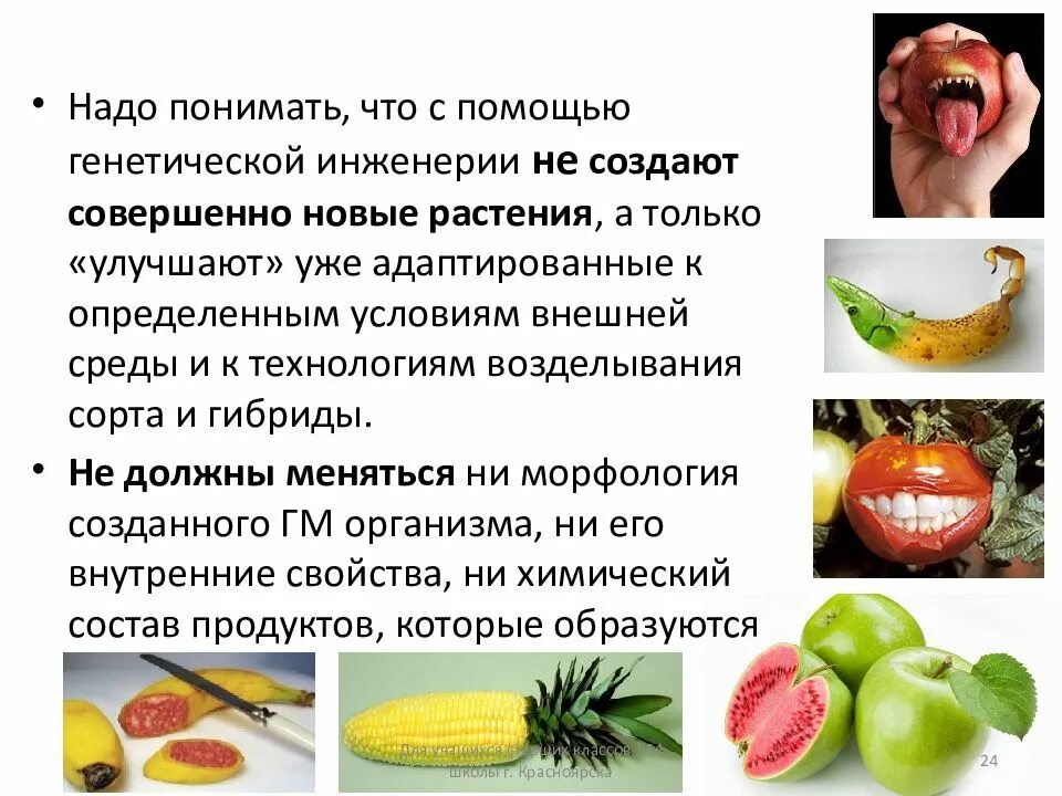 Дети гмо