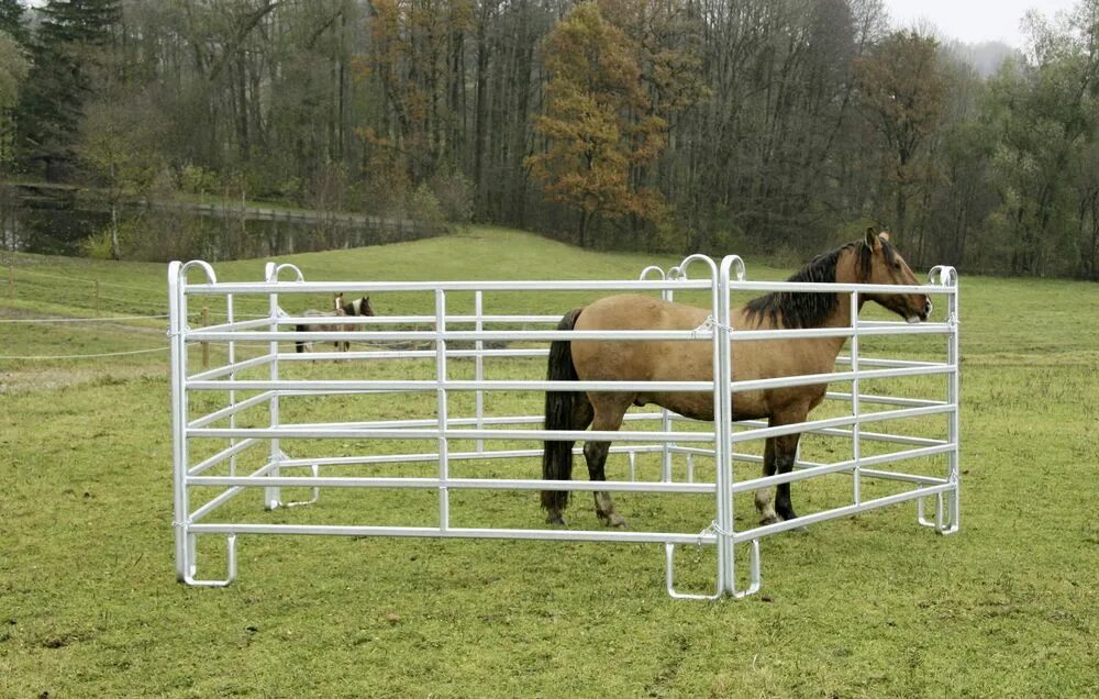 Что такое загон. Загон для лошадей. Забор загон для лошадей. Изгородь для лошадей. Левада для лошадей.