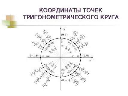 Система координат круг