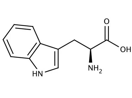 L tryptophan