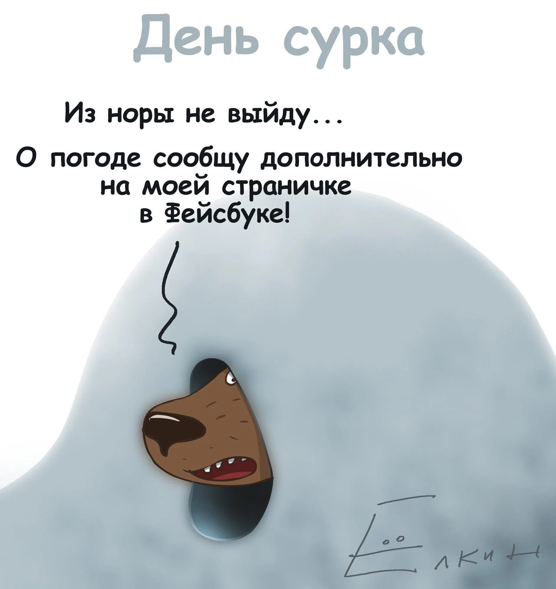 День сурка что это значит выражение. День сурка. 2 февраля день сурка. день сурка поздравления. день сурка открытки.