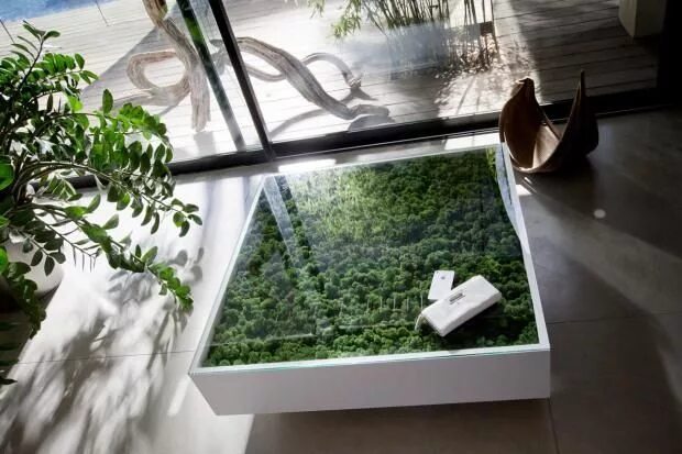 The plant is the coffee table. Искусственная трава на стол. Стол с растениями. Столик террариум журнальный. Стол с растениями.