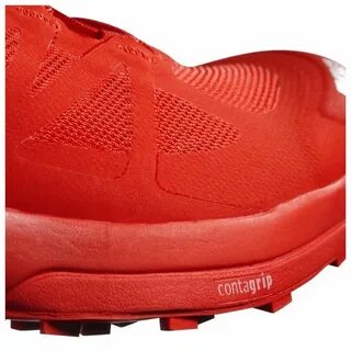 Salomon s lab