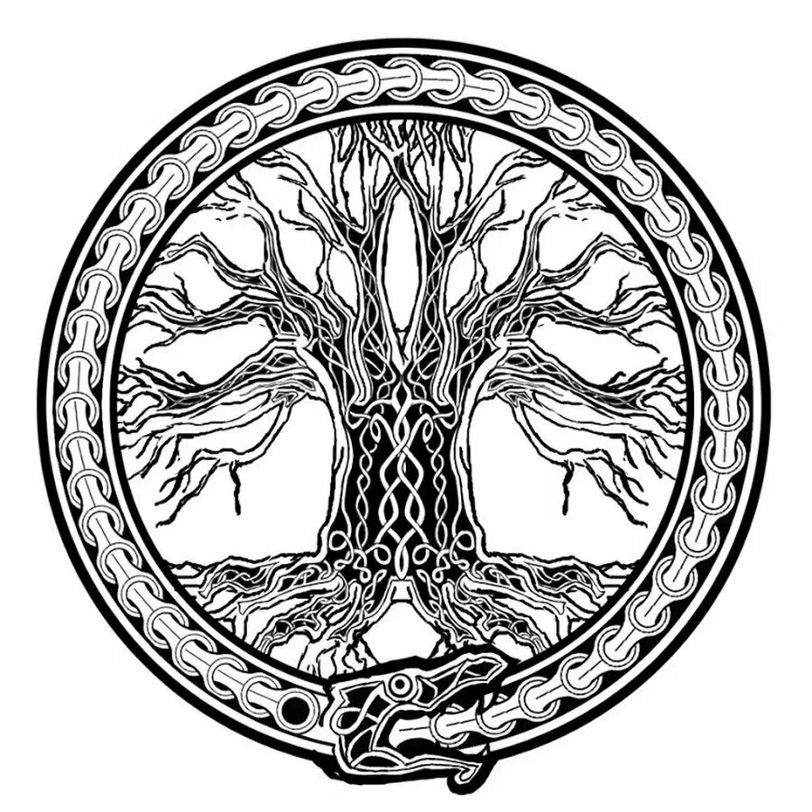 Дерево иггдрасиль. Дерево иггдрасиль. Лерад иггдрасиль. Дерево иггдрасиль. Иггдрасиль мировое древо и 9 миров.