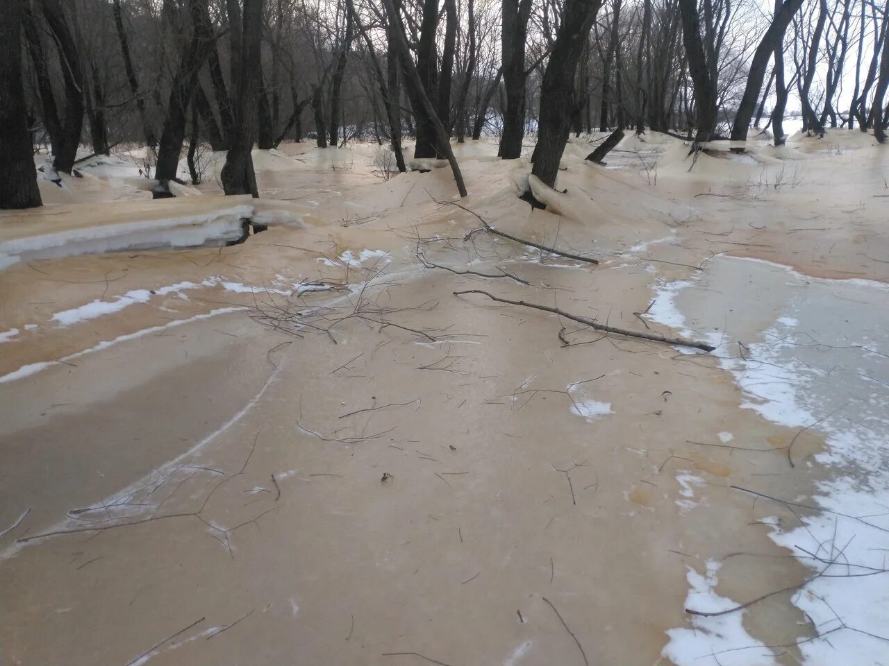 Лысая гора Солотча Рязань. Солотча Извилистая река. Разлив реки. Солотча (река).