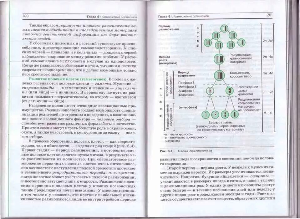 Рдр по биологии 10 класс. Учебник по биологии 10 класс зеленый. Учебник по биологии профильный уровень 10 класс зеленый. Учебник по биологии 10 класс повышенный уровень профильный. Биология 10 класс учебник профильный уровень.